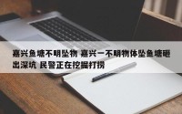 嘉兴鱼塘不明坠物 嘉兴一不明物体坠鱼塘砸出深坑 民警正在挖掘打捞