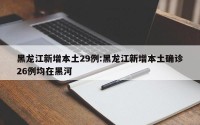 黑龙江新增本土29例:黑龙江新增本土确诊26例均在黑河