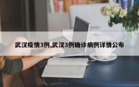 武汉疫情3例,武汉3例确诊病例详情公布