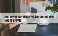 北京流行毒株为德尔塔?专家辟谣(北京感染的是德尔塔吗)