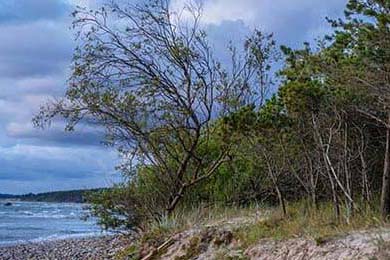 疫情莆田：全民战疫下的“速度”与“温度”