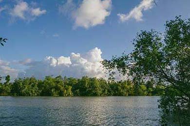 昨日新增本土确诊1337例，防控警报再次拉响