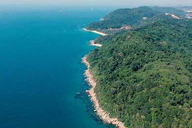 昨天，全国疫情数据再次牵动人心：31个省份新增新冠肺炎确诊病例1228例，本土扩散加剧，防控警报拉响。这一数字凸显了当前疫情的严峻性，提醒我们病毒仍在暗中传播，决不能掉以轻心。